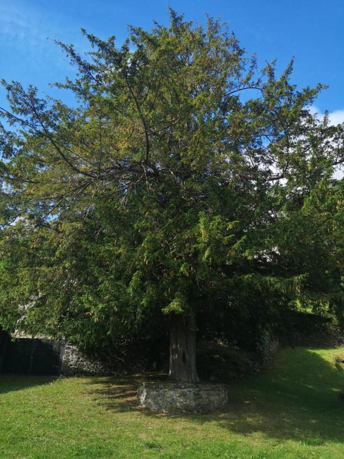 Apartamentos rurales el capricho de carrio Pola de Laviana Exterior foto